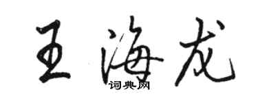 駱恆光王海龍行書個性簽名怎么寫