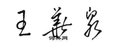 駱恆光王華泉草書個性簽名怎么寫