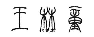 陳墨王林童篆書個性簽名怎么寫