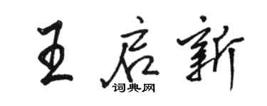 駱恆光王啟新行書個性簽名怎么寫