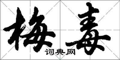 胡問遂梅毒行書怎么寫