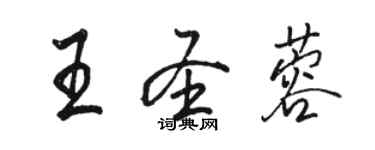 駱恆光王聖蓉行書個性簽名怎么寫