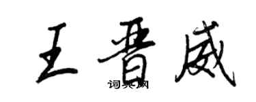 王正良王晉威行書個性簽名怎么寫