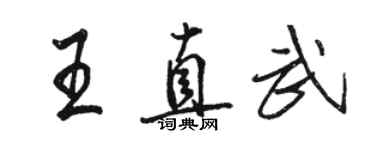 駱恆光王直武行書個性簽名怎么寫