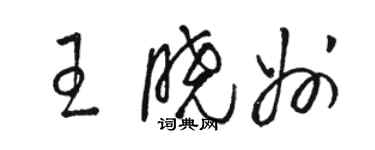 駱恆光王曉州草書個性簽名怎么寫