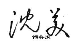 駱恆光沈美草書個性簽名怎么寫