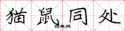 袁強貓鼠同處楷書怎么寫
