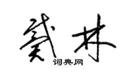 梁錦英戴林草書個性簽名怎么寫