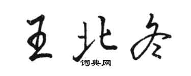駱恆光王北冬行書個性簽名怎么寫