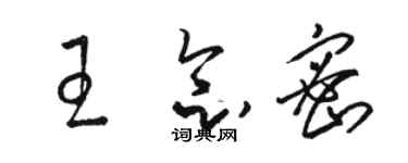 駱恆光王念密草書個性簽名怎么寫