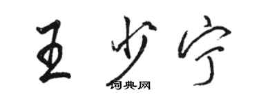 駱恆光王少寧行書個性簽名怎么寫