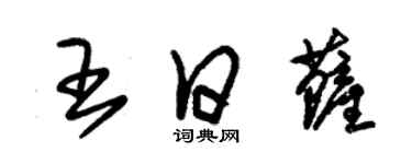 朱錫榮王日薩草書個性簽名怎么寫