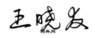 曾慶福王曉友草書個性簽名怎么寫