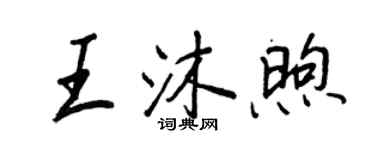 王正良王沐煦行書個性簽名怎么寫