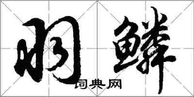 胡問遂羽鱗行書怎么寫