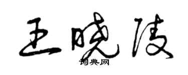 曾慶福王曉陵草書個性簽名怎么寫