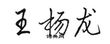 駱恆光王楊龍行書個性簽名怎么寫
