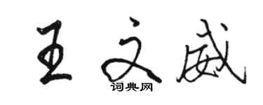 駱恆光王文威行書個性簽名怎么寫