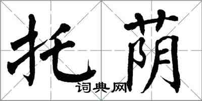 翁闓運托蔭楷書怎么寫