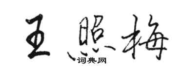 駱恆光王照梅行書個性簽名怎么寫