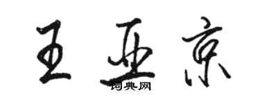 駱恆光王亞京行書個性簽名怎么寫