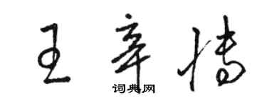 駱恆光王辛博草書個性簽名怎么寫
