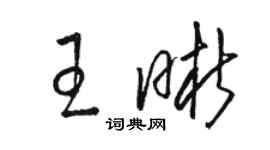 駱恆光王晰草書個性簽名怎么寫