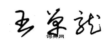 朱錫榮王單龍草書個性簽名怎么寫