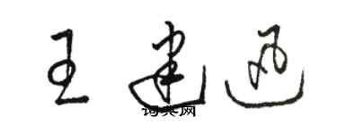 駱恆光王建迅草書個性簽名怎么寫