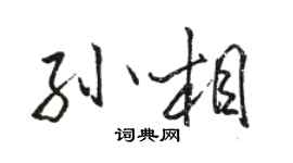 駱恆光孫相行書個性簽名怎么寫