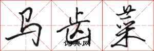 駱恆光馬齒菜行書怎么寫