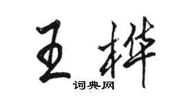 駱恆光王樺行書個性簽名怎么寫