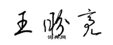 梁錦英王盼亮草書個性簽名怎么寫