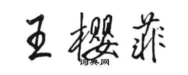 駱恆光王櫻菲行書個性簽名怎么寫