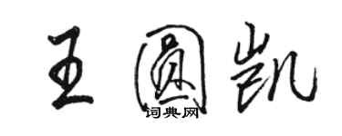 駱恆光王圓凱行書個性簽名怎么寫