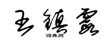 朱錫榮王鎮霞草書個性簽名怎么寫