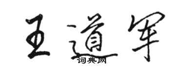 駱恆光王道軍行書個性簽名怎么寫