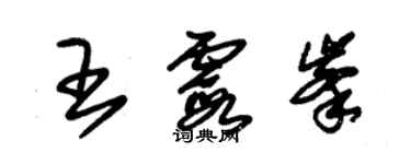 朱錫榮王霞峰草書個性簽名怎么寫