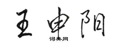 駱恆光王申陽行書個性簽名怎么寫