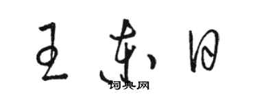 駱恆光王東日草書個性簽名怎么寫