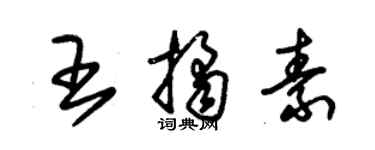 朱錫榮王桔素草書個性簽名怎么寫