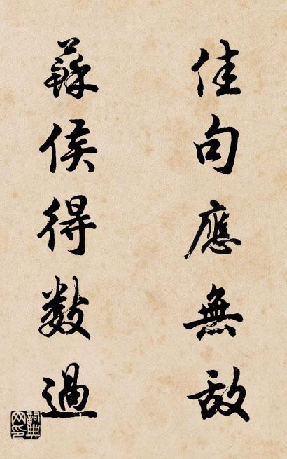 佳句應無敵; 蘇侯得數過。怎么寫好看