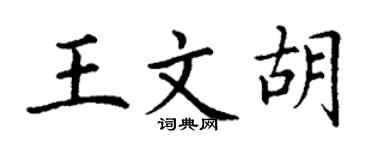 丁謙王文胡楷書個性簽名怎么寫