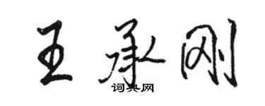 駱恆光王承剛行書個性簽名怎么寫