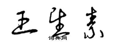 曾慶福王望素草書個性簽名怎么寫