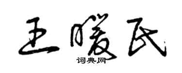 曾慶福王暖民草書個性簽名怎么寫