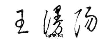駱恆光王漫陽草書個性簽名怎么寫