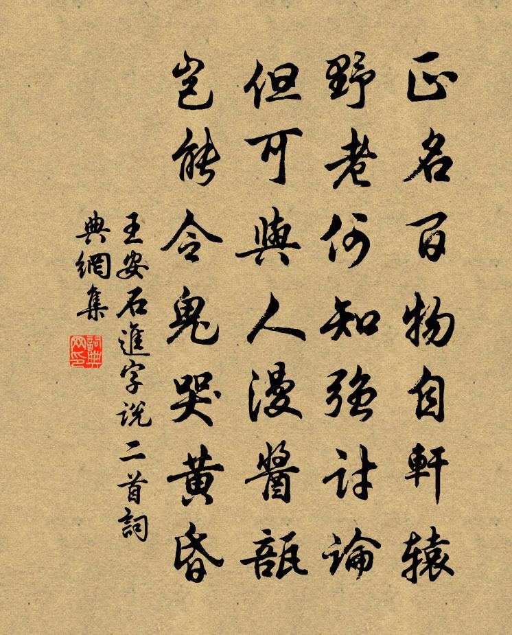 王安石進字說二首書法作品欣賞