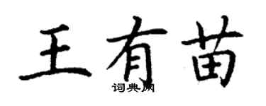 丁謙王有苗楷書個性簽名怎么寫