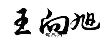 胡問遂王向旭行書個性簽名怎么寫